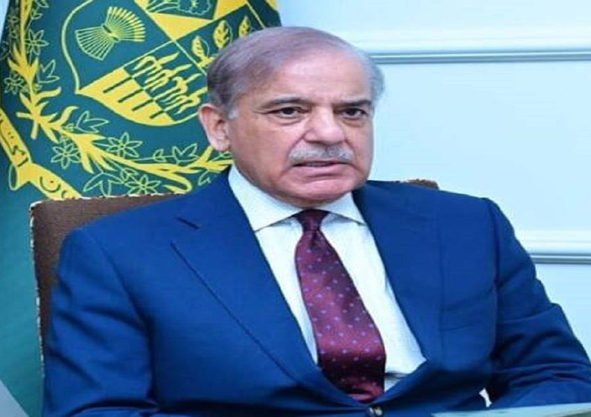 Shehbaz - Naya Kashmir - NK
