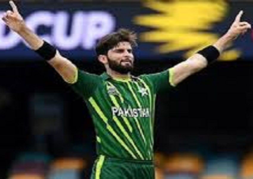 Shaheen - Naya Kashmir - NK
