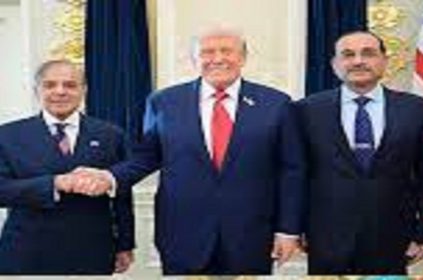 Shehbaz 2 - Naya Kashmir - NK