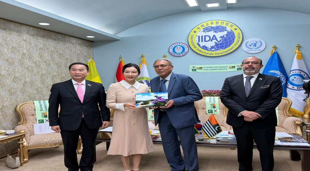 Ali Rqza - Naya Kashmir - vNK