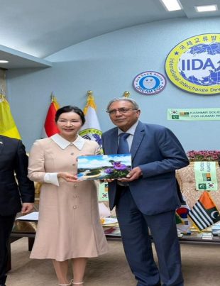 Ali Rqza - Naya Kashmir - vNK