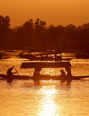Dal - Naya Kashmir - NK