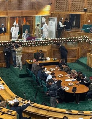 J&K Assembly - Naya Kashmir - NK