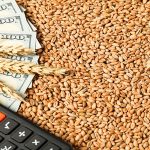 Wheat Price - Naya Kashmir - NK