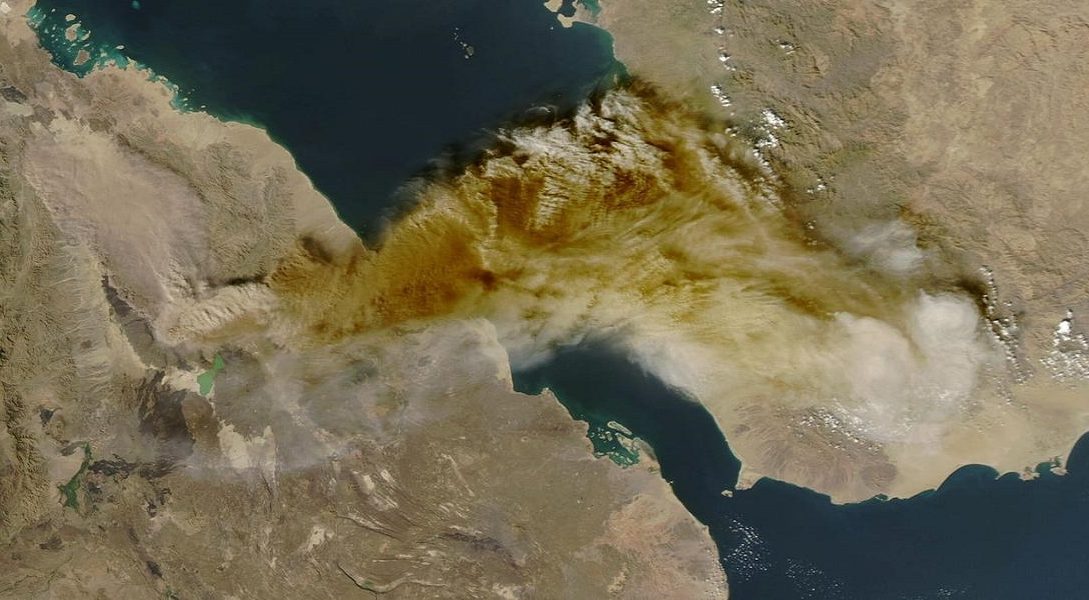 Ethopian Ash - Naya Kashmir - NK