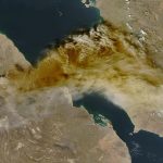 Ethopian Ash - Naya Kashmir - NK