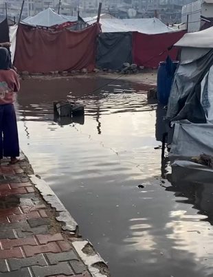 Gaza - Naya Kashmir - NK