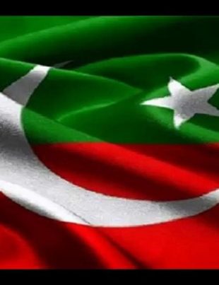 PTI - Naya Kashmir - NK