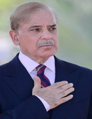 Shehbaz - Naya Kashmir - NK