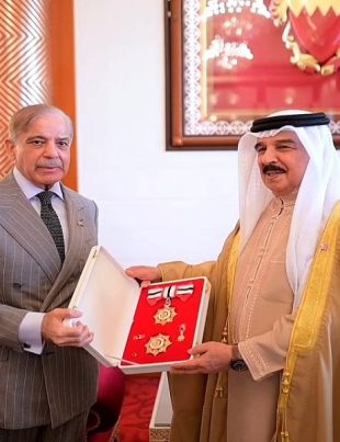 Shehbaz - Naya Kashmir - NK