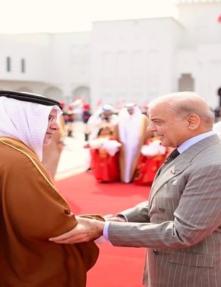 Shehbaz - Naya Kashmir - NK