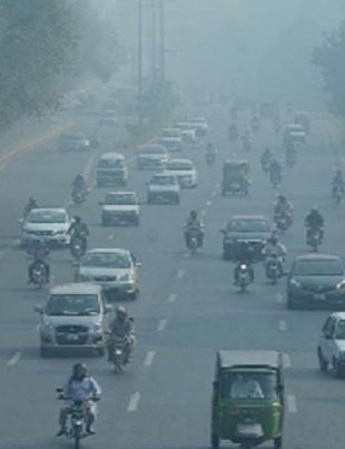 Smog - Naya Kashmir - NK