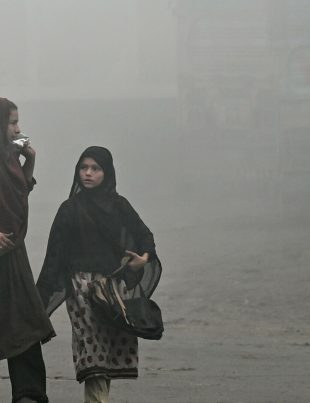 Smog - Naya Kashmir - NK