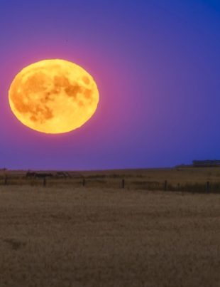 Supermoon - Naya Kashmir - NK