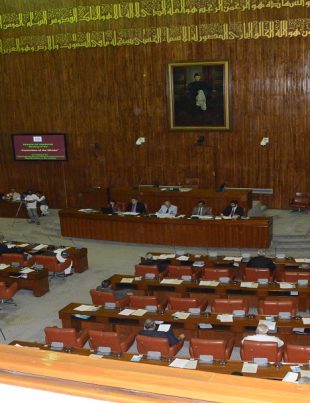 The Senate - Naya Kashmir - NK