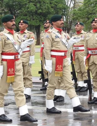 UK CGS - Naya Kashmir - NK