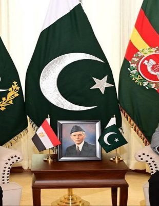 Asim - Naya Kashmir - NK