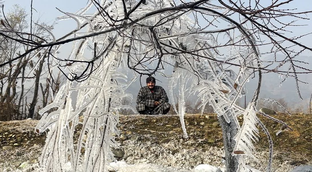 Cold Grip - Naya Kashmir - NK