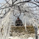 Cold Grip - Naya Kashmir - NK