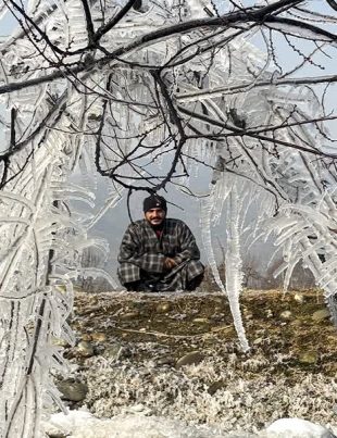 Cold Grip - Naya Kashmir - NK