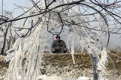 Cold Grip - Naya Kashmir - NK