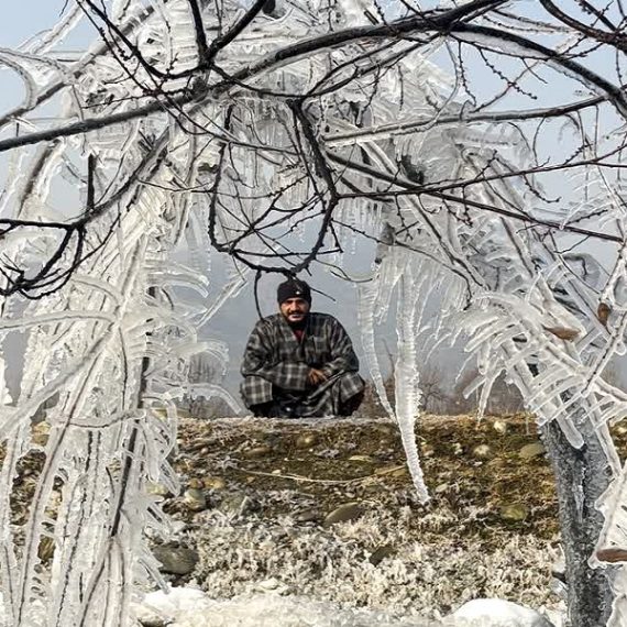 Cold Grip - Naya Kashmir - NK