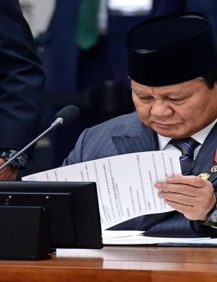 Indonesia - Naya Kashmir - NK