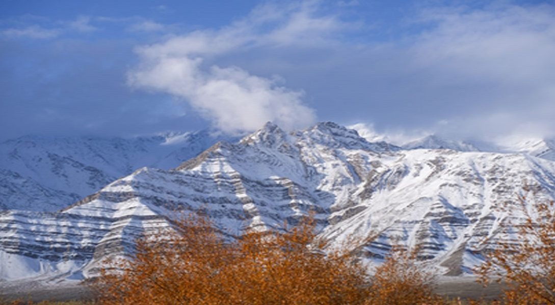 Kash Cold - Naya Kashmir - NK