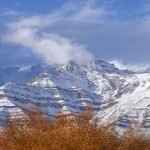 Kash Cold - Naya Kashmir - NK