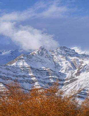 Kash Cold - Naya Kashmir - NK