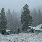 Snowfall - Naya Kashmir - NK