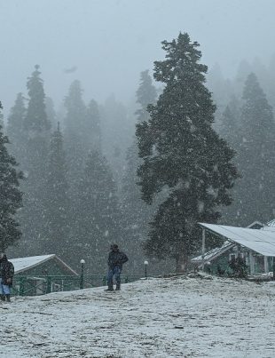 Snowfall - Naya Kashmir - NK