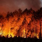 Wildfire - Naya Kashmir - NK